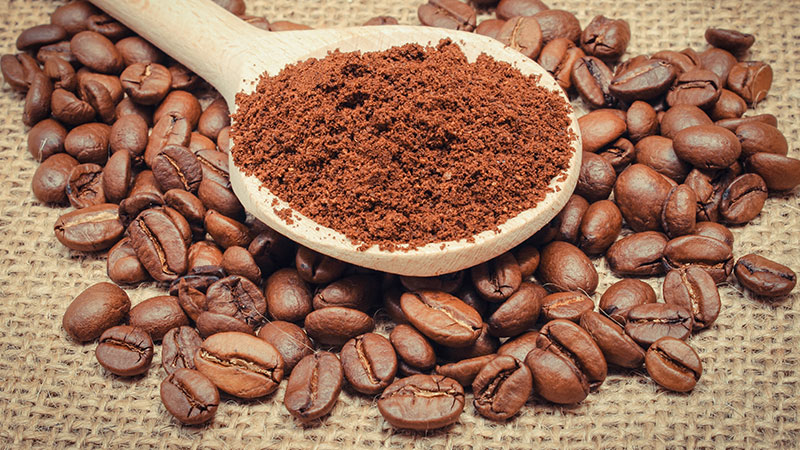 SAÚDE E ALIMENTAÇÃO